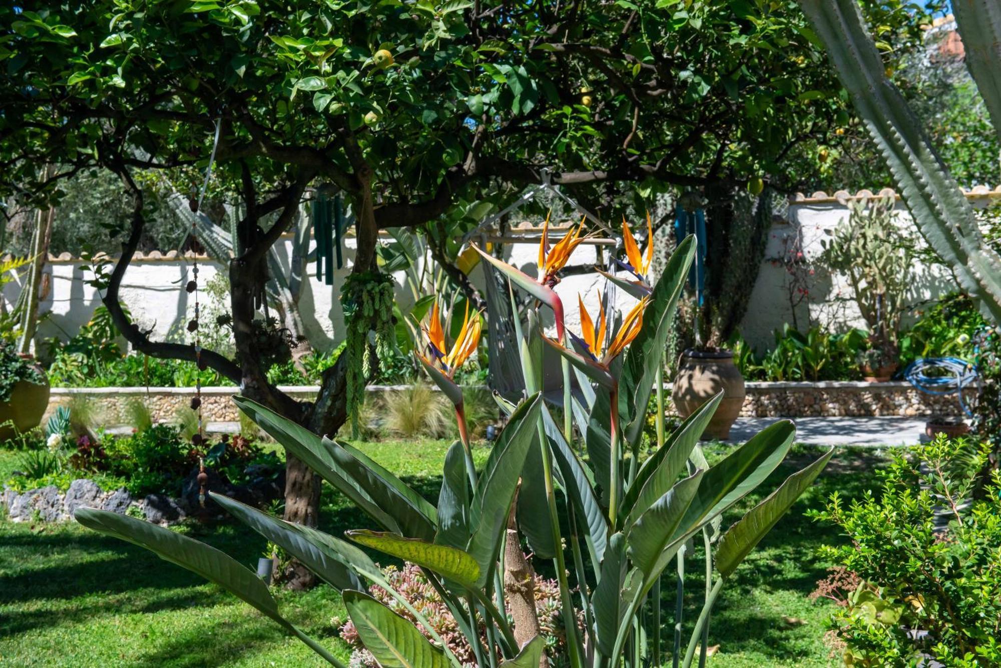 Alex Studios & Apartments Arillas Agiou Georgiou Esterno foto